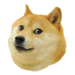 Doge Trail!