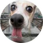 Donate.png