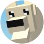 Donation - 10R$ -