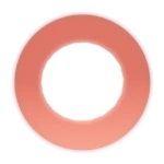 (DONATION) Frisbee