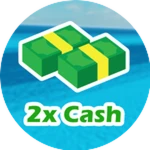 Double Cash