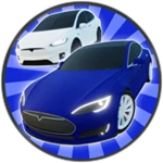 Electric Cars