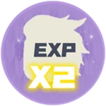 Experience X2