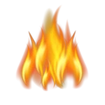 Fire Trails