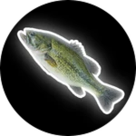 Fishy thing