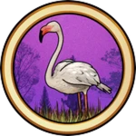 Flamingo Skins