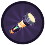 Flash Light