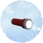 Flash Light