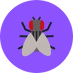 Fly!