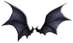 Flying Bat Wings
