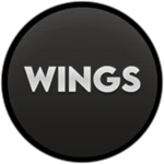 Flying Wings