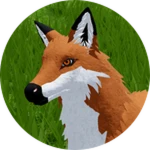 Fox Horse