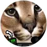 gamer floppa