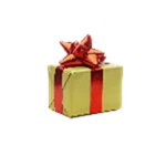 Gift: Christmas 2020
