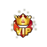 [Gift] VIP