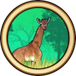 Giraffe Skins