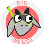 Goats Underwater!
