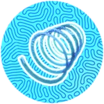 🌀 Gravity Coil!