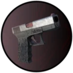 Gun