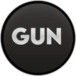 Gun