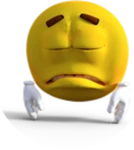 Gun