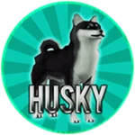 Husky Dog