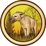 Hyena Skins