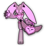 iBunny Bundle