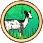 Impala Dapple Skins