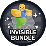 Invisible Bundle