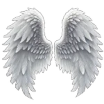 (ITEM NOT FOR SALE YET) (GLIDE) Angel Wings