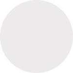 Ivory Blossom Wallpaper
