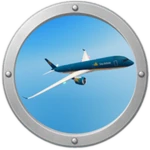 ✈️ Jet airliner 599→199 SALE