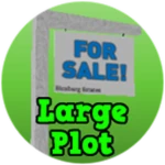 Large Plot