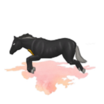 🍣 Legendary Flying Pegasus Pet