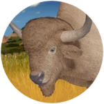 Leucistic Ancient Bison