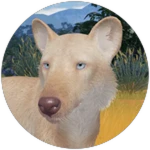 Leucistic Dire Wolf
