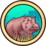 Leucistic Hippo