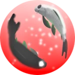 [LIMITED] Shirokuro Koi 