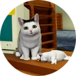 Lost Kitty Pass