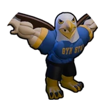 Lucky Talon Coach