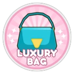 Luxury Bag