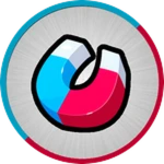 Magnet