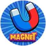 Magnet