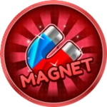 Magnet