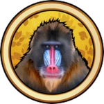 Mandril Baboon