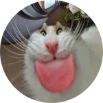Medium Donation