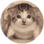Meme Suits [1]