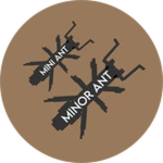 Mini Ant Size