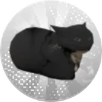 Moew with Particle